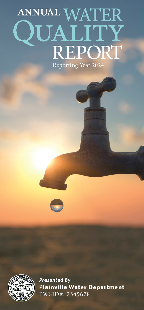 Photo of an example of a cover of a Gemini Water Report