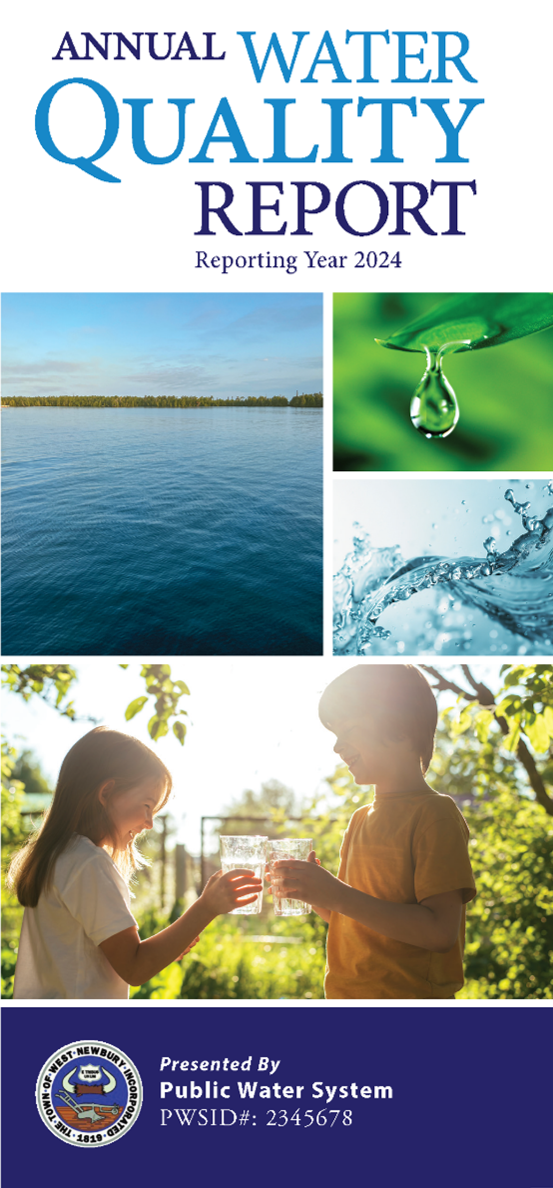 Photo of an example of a Gemini Water Report