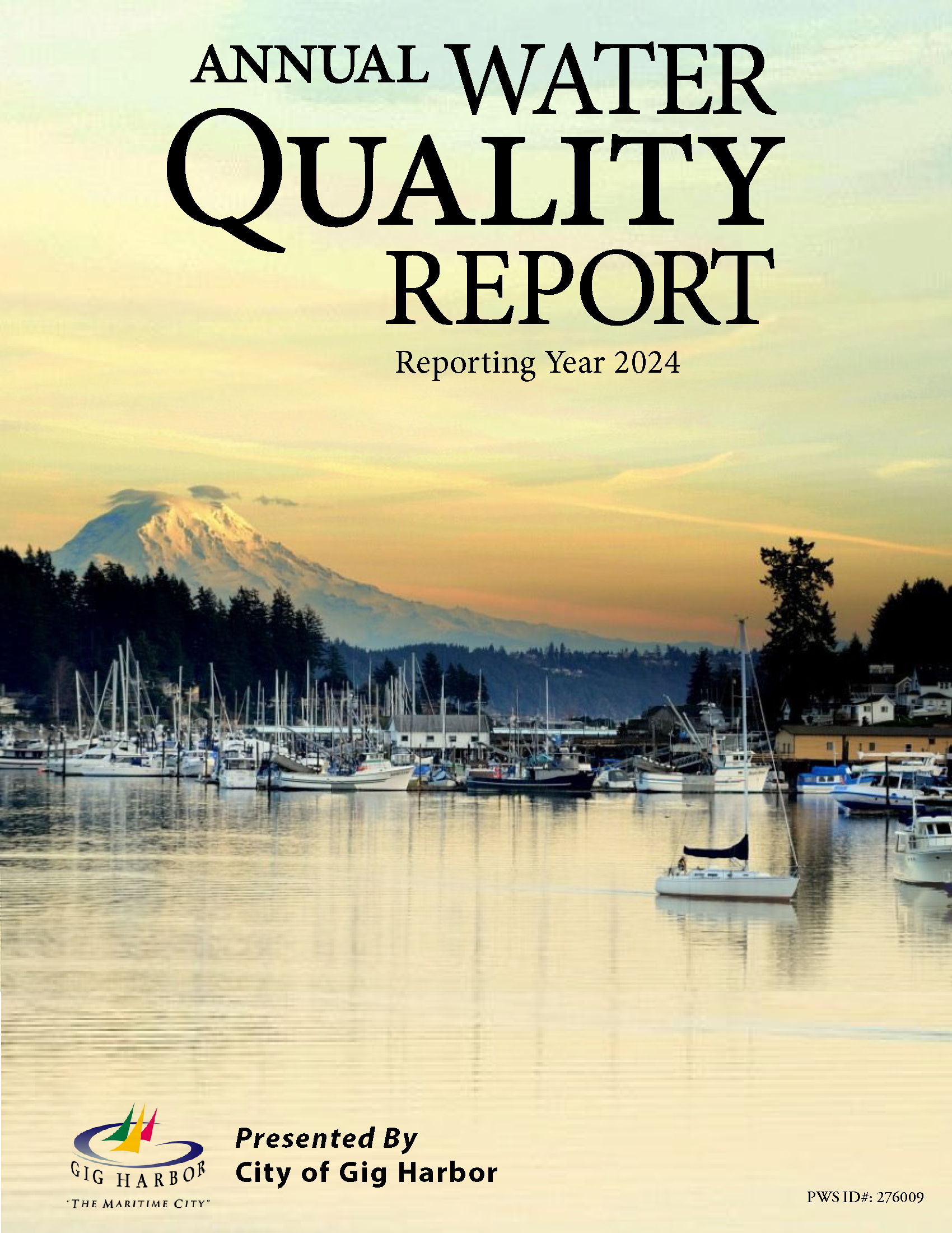 Photo of an example of a cover of a Gemini Water Report